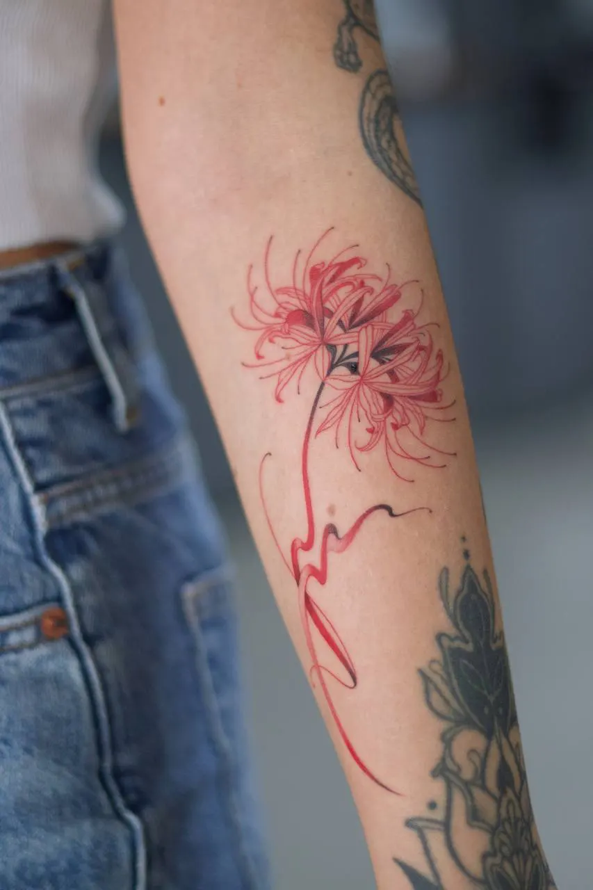 Spider lily in colour