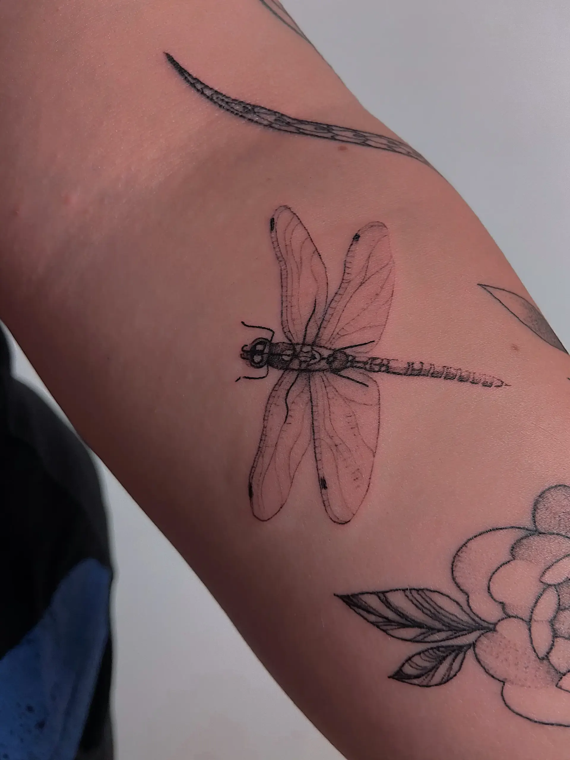 Libelle und Bluete am Oberarm – Fineline Tattoo