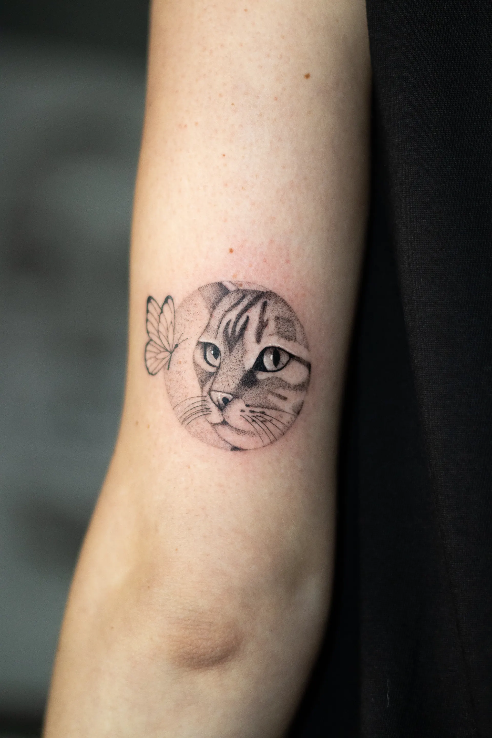 Micro-realism cat portrait